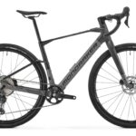 Mondraker Dusty MAHLE X20 350Wh