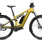 Flyer G1 Goroc TR:X 8.63 HS CH Pinion MGU E1.12S 1235Wh 45 km/h