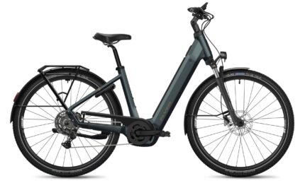 Flyer G2 Gotour 5.10 NL Performance Line CX 800Wh