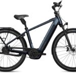 Flyer G2 Gotour 5.23 NL Performance Line PX 800Wh Freilauf