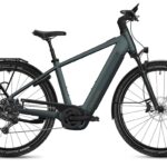 Flyer G2 Gotour 7.12 XC Performance Line CX 800Wh