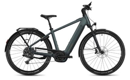 Flyer G2 Gotour 7.12 XC Performance Line CX 800Wh