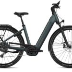 Flyer G2 Gotour 7.12 XC NL Performance Line CX 800Wh