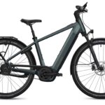 Flyer G2 Gotour 7.23 Performance Line CX 800 Wh