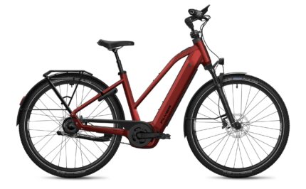 Flyer G2 Gotour 7.43 NL Performance Line CX 800Wh