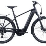 Hercules Futura HD I-9 Performance CX 600Wh 180kg